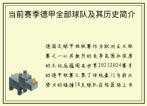 当前赛季德甲全部球队及其历史简介