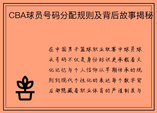 CBA球员号码分配规则及背后故事揭秘